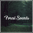 Relax Nature Forest Sounds