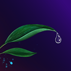 Nature Sounds Peaceful, Sleep آئیکن