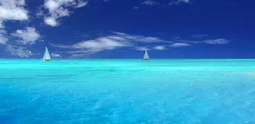 Calm Ocean Waves Sounds