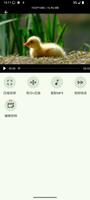 视频压缩 截图 1