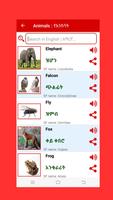 Amharic Word Book captura de pantalla 3