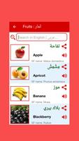 Arabic Word Book captura de pantalla 2