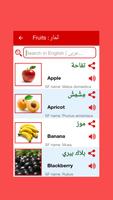 Arabic Word Book screenshot 2