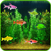 ”Aquarium Live Wallpaper!