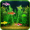 Aquarium Live Wallpaper! APK