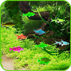 Free Aquarium Live Wallpaper أيقونة