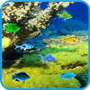 Free SeaBed Fishes LWP APK