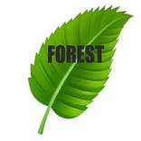 Forest E Commerce