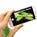 Pest Detector APK