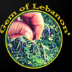Gem Of Lebanon - Olive Oil
