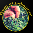 Gem Of Lebanon - Olive Oil icône