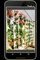Creative Ideas Plant gönderen