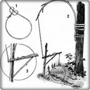 the idea of animal traps APK