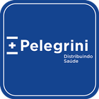Icona Catálogo Pelegrini