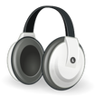 Idiotizer Pro icon