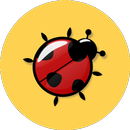 Best Insects Wallpaper APK