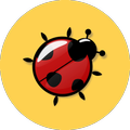 Ladybug Wallpaper