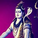 Mahadev Shiva - Wallpapers, Videos, Aarti & More APK