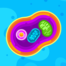 Idle Bacteria Evolution APK