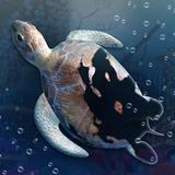 Idle Sea World Zeichen