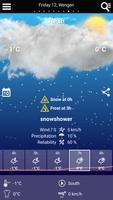 Swiss Weather Cartaz