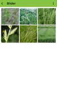 Wiesen Pflanzen e-Karten capture d'écran 1