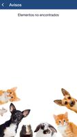 El Carmen Clínica Veterinaria ภาพหน้าจอ 3