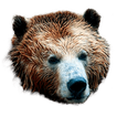 ID Scanner - Age Verification icon