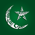 Idreesia 381