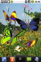 Butterfly animated color LWP! Plakat