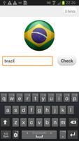 Logo Quiz - World Flags Poster