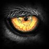 Leopard.tv Wildlife Magazine APK