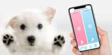 Dog Translator - Talk to dog