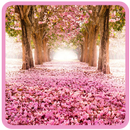 APK والپیپر طبیعت