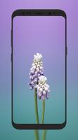 iWallpapers 截圖 1