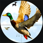 Chasse au canard saison 2020: Jeux tir d'oiseaux icône