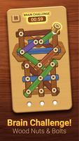 Woodom - Wood Screw Puzzle ảnh chụp màn hình 2