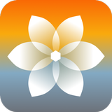 iOS Gallery For Android Zeichen