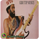 Igbo Highlife All Top Songs APK