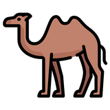 Camel Calculator APK