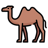 Calculadora de Camelos ícone