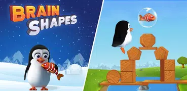 Brain Shapes