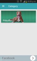 Pitbull Free images screenshot 2