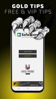 Betting Tips Gold Cartaz