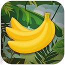 Лови бананы и клади в Карманы! APK