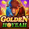 Golden HoYeah icon