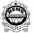 BEMS icon