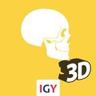 Anatomy 3D ikon