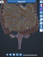 Anatomy 3D Plakat