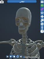 التشريح - أجهزة جسم الإنسان 3D تصوير الشاشة 2